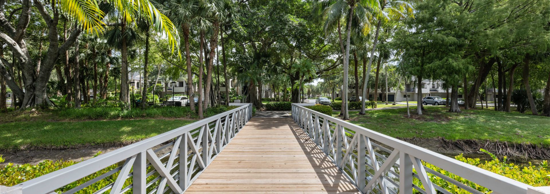 a wooden walkway leads to a park with palm trees at The Palm Haven