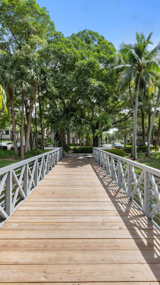 a wooden walkway leads to a park with palm trees at The Palm Haven